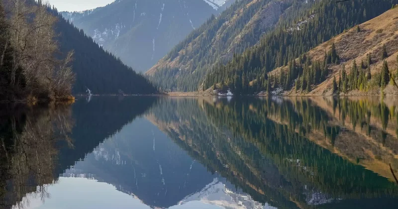 Қарсы алмады : министрлік Қазақстанға келген америкалық блогерге қатысты пікір білдірді