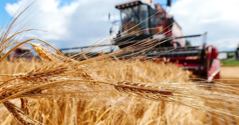 KC Energy Group аграрлық секторға егіс науқаны үшін 123 мың тоннадан астам дизель отынын жеткізді