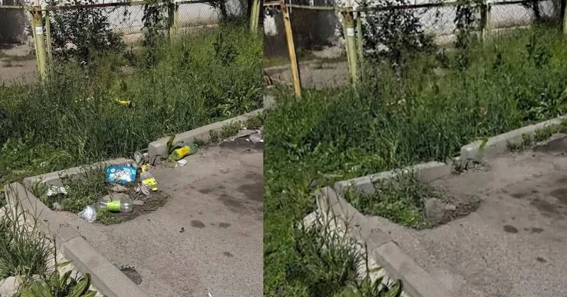 Убрали мусор с помощью ИИ: чиновника уволили в Алматы после скандала в соцсетях