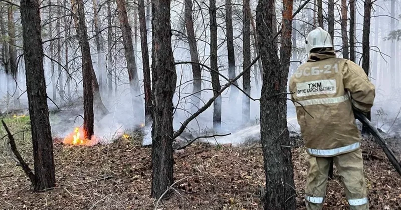 Кому подняли зарплаты после лесного пожара в Костанайской области, рассказали в Минэкологии
