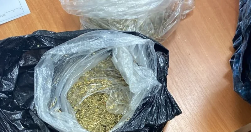 Оралда түрмеге жетуге тиіс болған есірткіні Детектив атты қызметтік ит әшкереледі