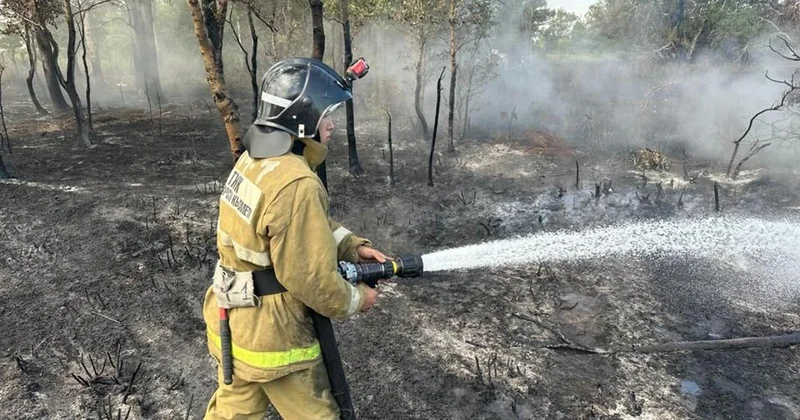 Қазақстанда орман өрт сөндірушілері қанша алады вице министр жалақыны айтты