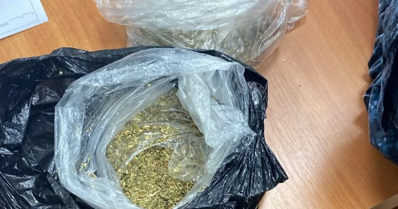 Собака Детектив не пропустила запрещенку осужденному в Уральске