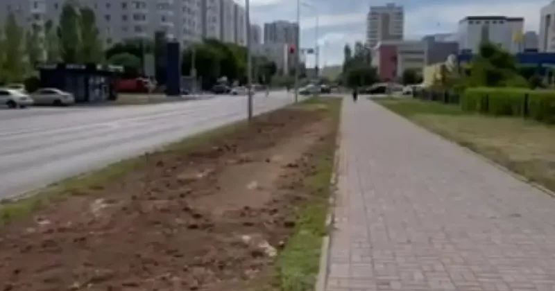 Пропажу деревьев на одной из улиц Астаны объяснили в акимате