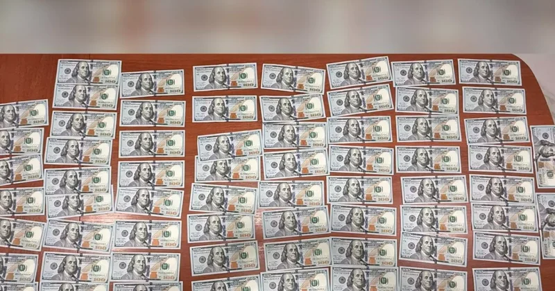 Жамбыл облысында шетел азаматынан 170 млн теңге декларацияланбаған валюта анықталды