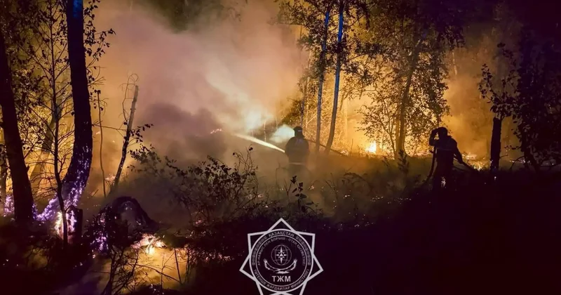 Қостанай облысында бірнеше елді мекенде өрт шықты