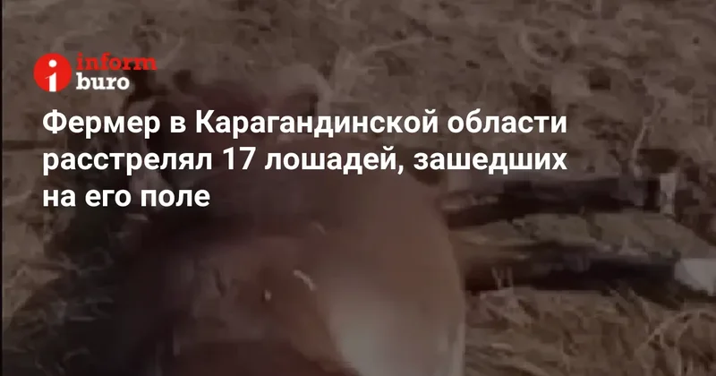 Фермер в Карагандинской области расстрелял 17 лошадей, зашедших на его поле