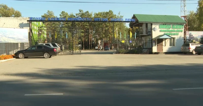 Жоңғар Алатауы ұлттық паркінде 70 тен астам экошара ұйымдастырылды