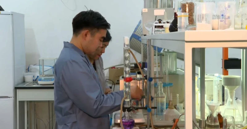 Қызылордалық шаруалар күріш қалдығын кәдеге жаратып жатыр