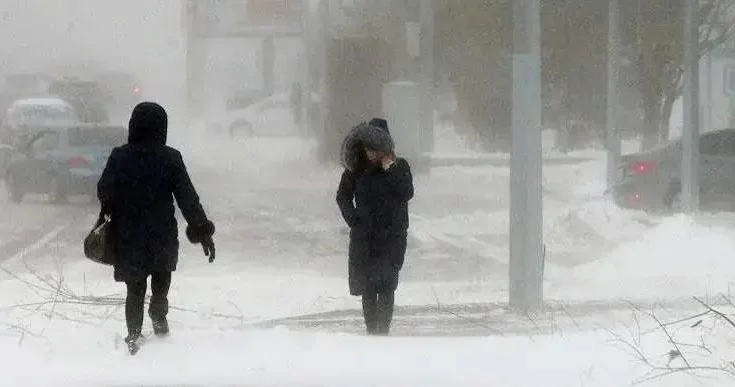 Өскемен көшелеріне көктайғаққа қарсы не себіліп жатыр