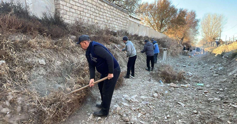 В Приаралье с начала года высажено более 255 тыс. саженцев деревьев
