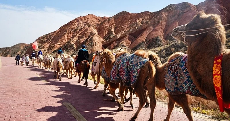 Ежелгі Жібек Жолымен 3000 шақырымға жол тартқан түйе керуені шетелдегі қазақ баспасөзі