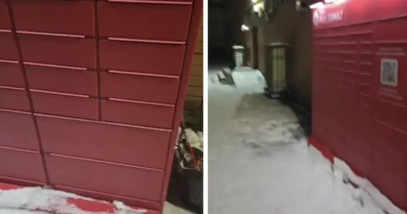 Екібастұзда біреулер мысықты поштоматтың ұяшығына қамап кеткен