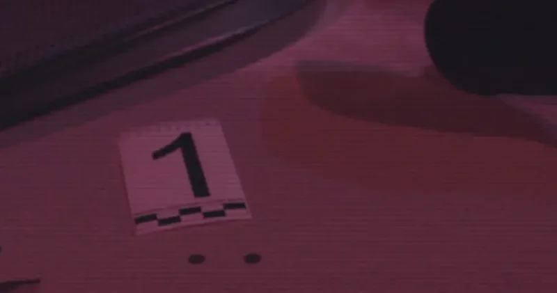 ІІМ ДНҚ технологияларының көмегімен 2016 жылғы қылмысты ашты