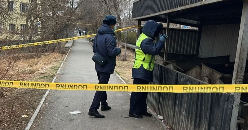 Кентау қаласында қоқыс контейнерінен жаңа туған нәрестенің мәйіті табылды