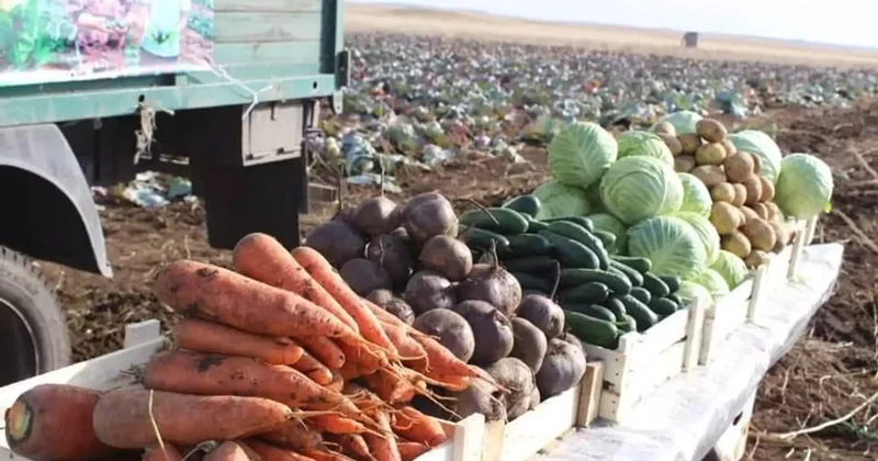 Оңтүстікте су тапшылығы 1 млрд текше метрге дейін жетуі мүмкін