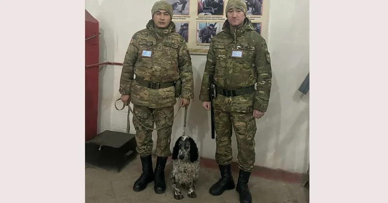 Детектив оправдал доверие