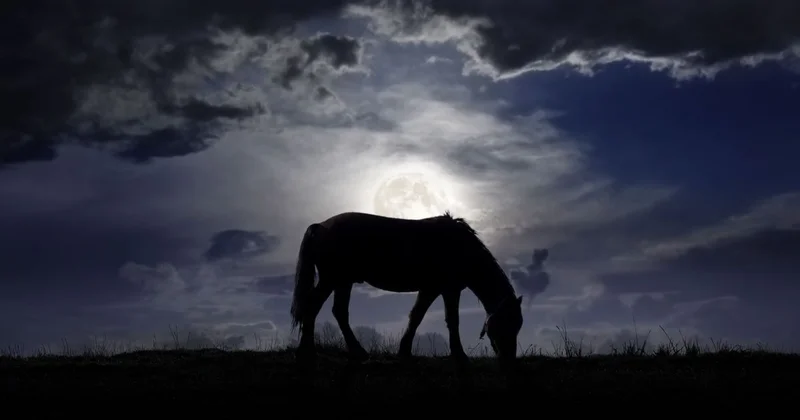 Водителя пассажирского автобуса зажало в кабине после столкновения с лошадью в Туркестанской области