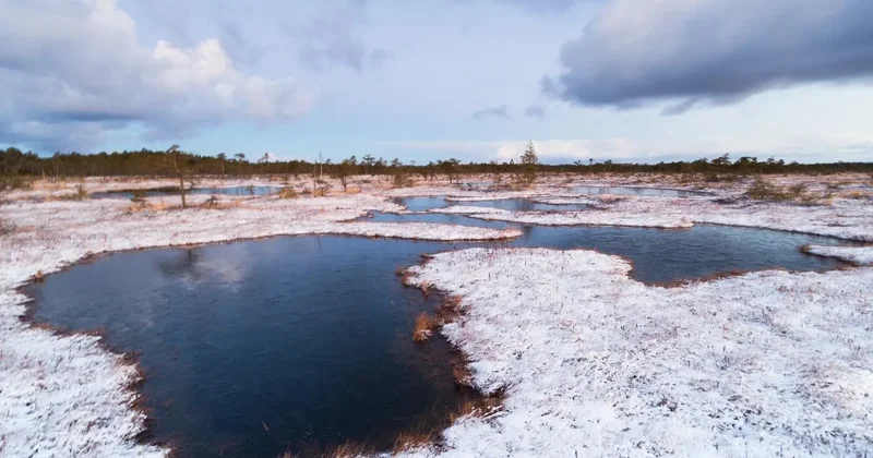 В трёх южных регионах Казахстана сохранится дефицит воды: что предлагает правительство