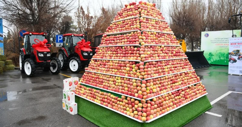 Өнімділік пен инновация: Алматы облысы ауыл шаруашылығындағы жылдық жетістіктерін көрсетті