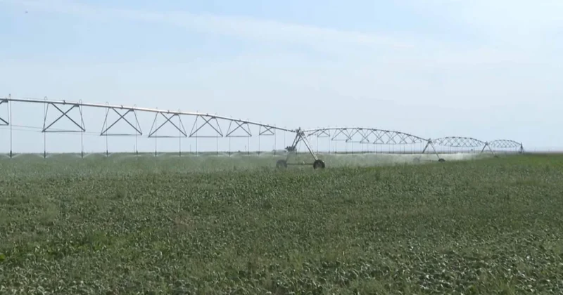 Түркістанда су тапшылығы екі есеге азайды