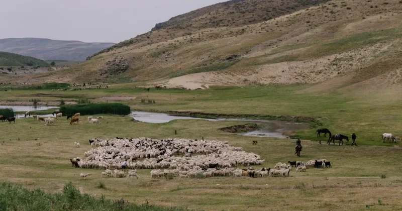В правительстве заявили, что Юг Казахстана снова на грани засухи