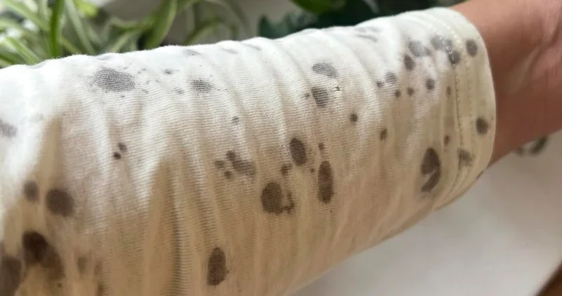 Алматыда қара жаңбыр жауған эколог түсініктеме берді