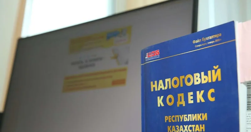 Минимизировать налоговые риски