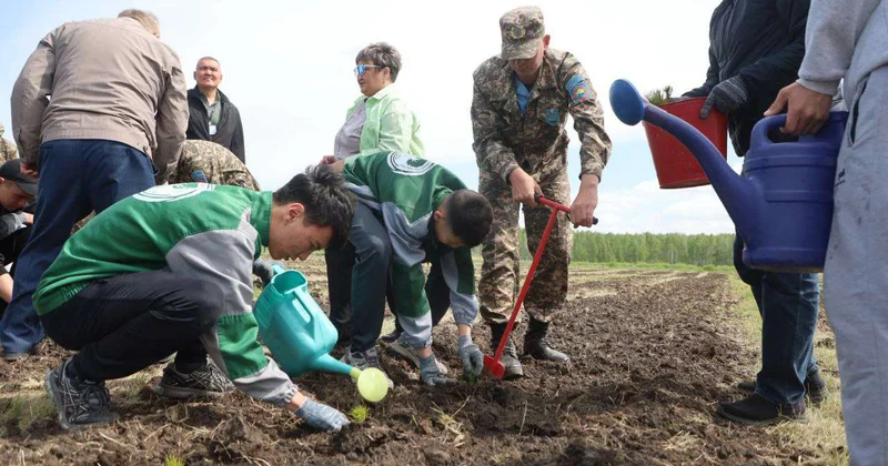 Район бьет рекорды