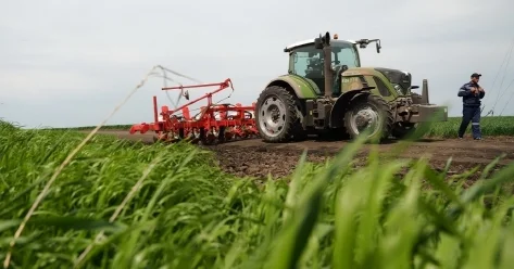 Акимам поручено сократить долю влаголюбивых культур в посевной структуре 2026 года