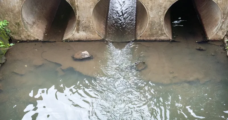 Незаконный сброс сточных вод обнаружили в Атырауской области: как наказали компанию