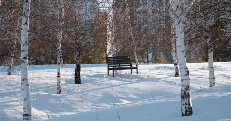 Морозы атакуют Астану: ночная температура упадет до −26 °C