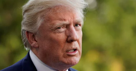 О подходе срока проведения выборов в Украине заявил Дональд Трамп