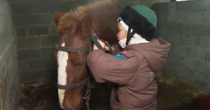 Павлодарда атқа міну мәдениеті қайта жандануда