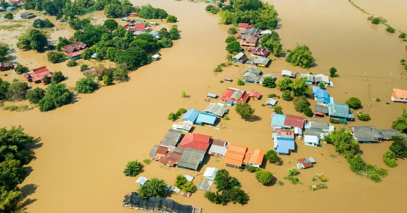 Потепление на планете поставит очередной рекорд в 2025 году