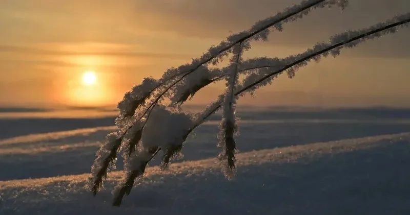 Боран соғып, аяз болады . Астана, Алматы және еліміздің 16 облысында дауылды ескерту жарияланды