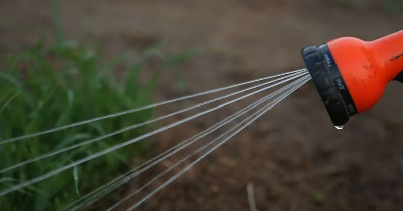 Не дадим ни капли воды Бектенов запретил превышать нормы посевов даже на гектар