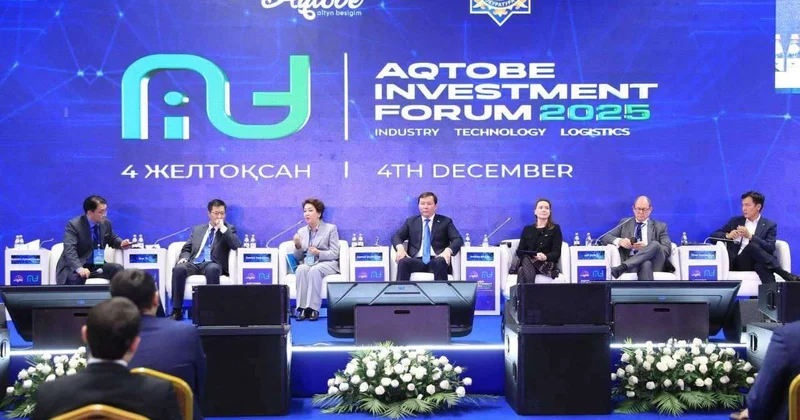 Новые проекты и возможности