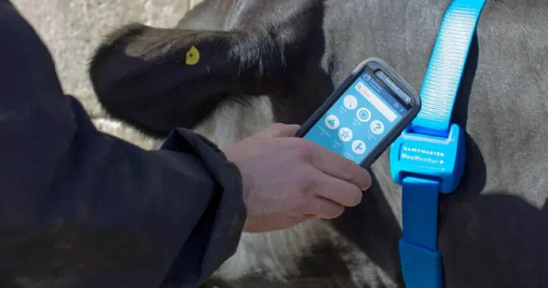 Атырау облысы шаруалары GPS жүйесінің жұмысына наразы