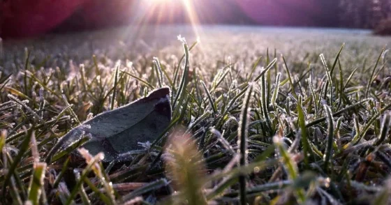 Плюсовая температура ожидается на юге Казахстана