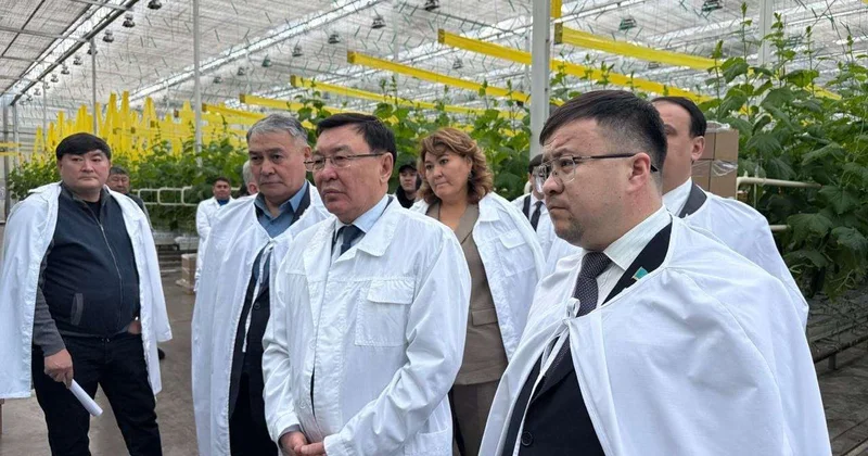 Законы проверяют практикой