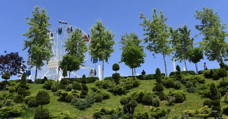 Алматыда қанша ағаш пен бұта бар және олардың жай күйін кім бақылайды