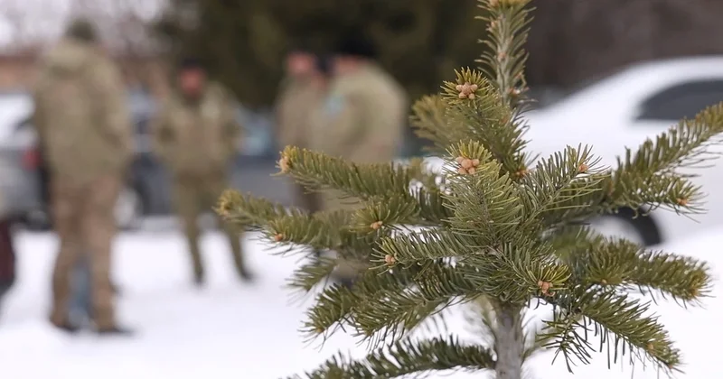 ШҚО да болашақ орман ағаштары қалай өсіріледі