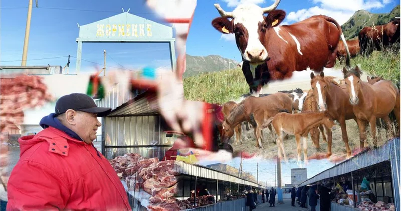 Қалтаны қаққан тәтті