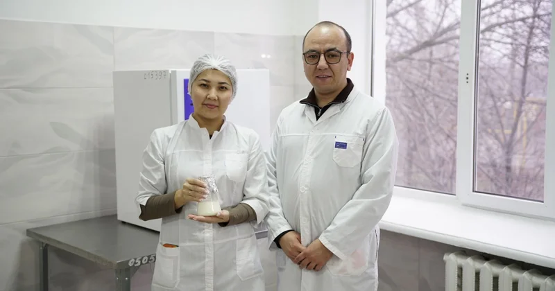 Түйе сүтінен балмұздақ пен йогурт