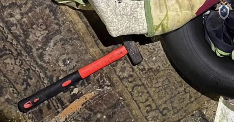 Россиянка забила знакомого молотком и прятала тело в курятнике