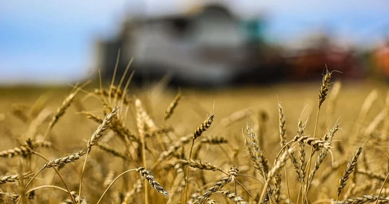 Үкімет ірі жер иеленушілерге қандай талап қойды?