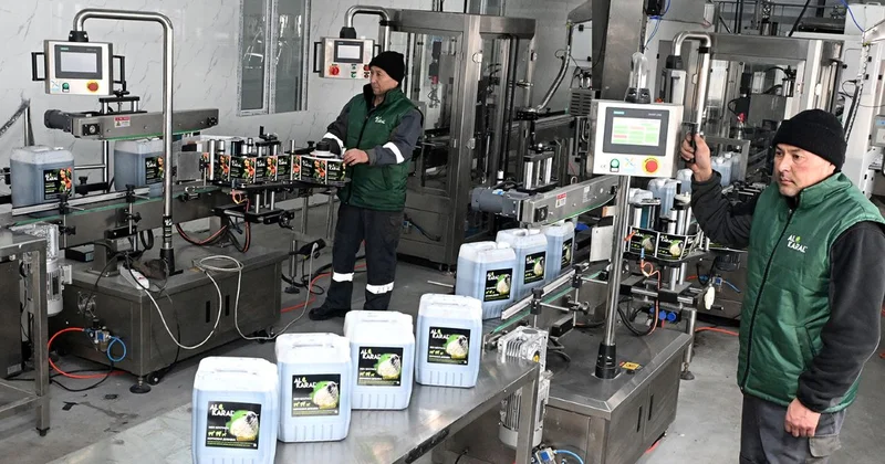 Лабораторный результат в работающий бизнес