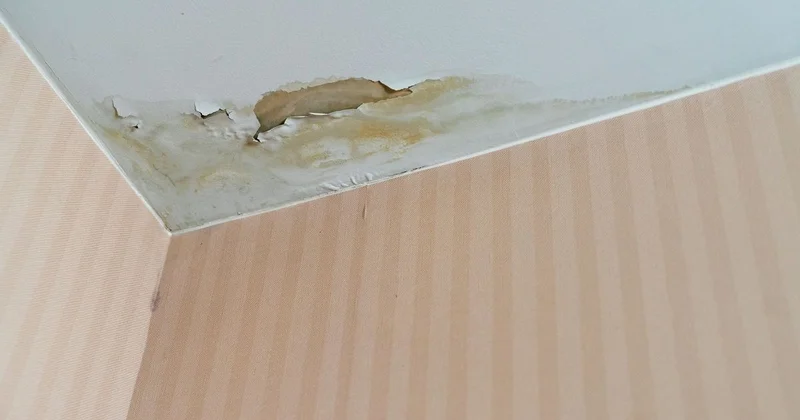 Никто не жил в квартире: две соседки судились в Таразе