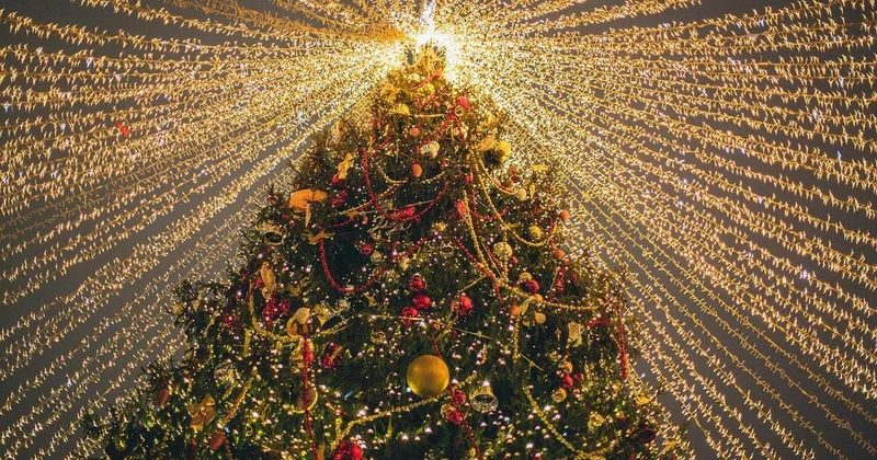 Стало известно, когда новогодние елки и декорации уберут в Алматы